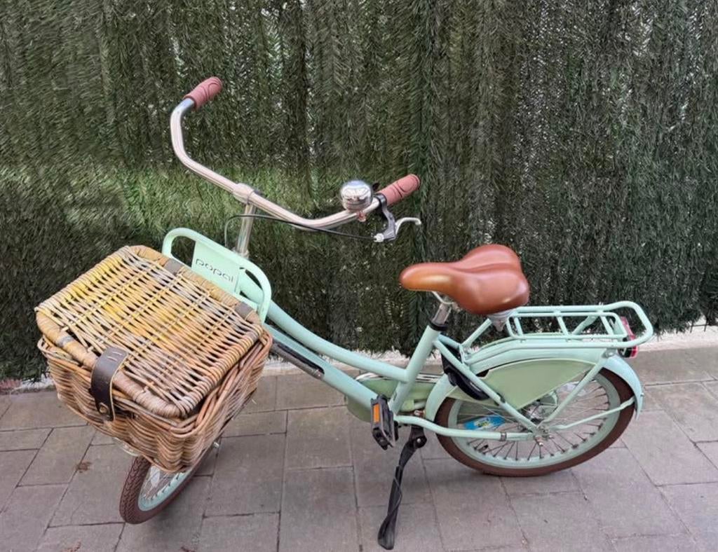 Meisjesfiets popal 20 inch, Ophalen, Zo goed als nieuw, 20 inch