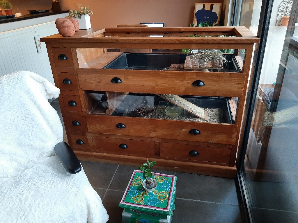 cavia hok kooi voor binnen in teak meubel of konijnenhok, 90 cm of meer, Hok, Ophalen, Cavia