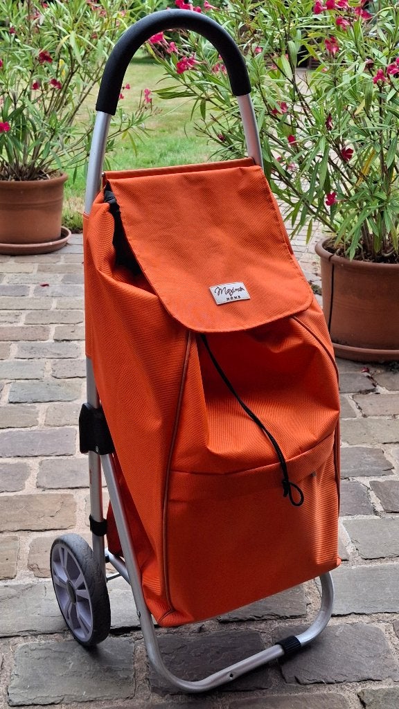chariot de courses, 30 cm ou plus, 75 cm ou plus, Enlèvement, Utilisé