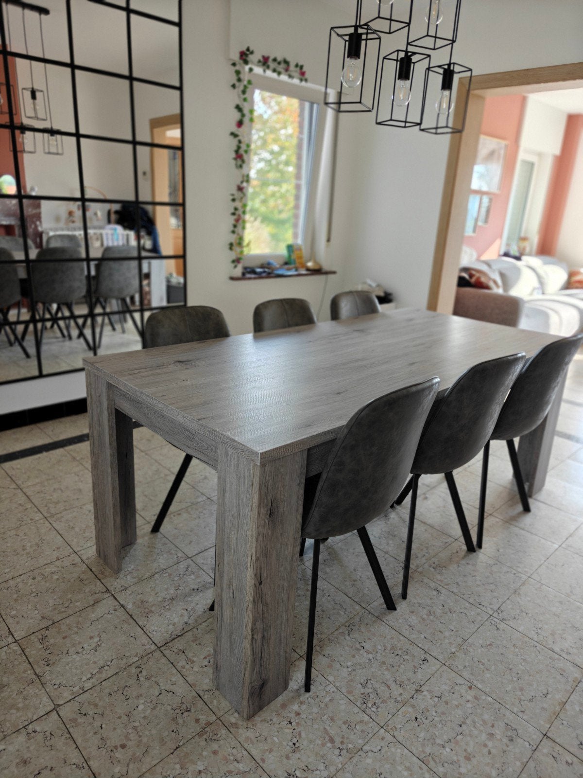 Table grise avec 6 chaises 230 x 90 cm, Enlèvement, Rectangulaire, 200 cm ou plus, 50 à 100 cm