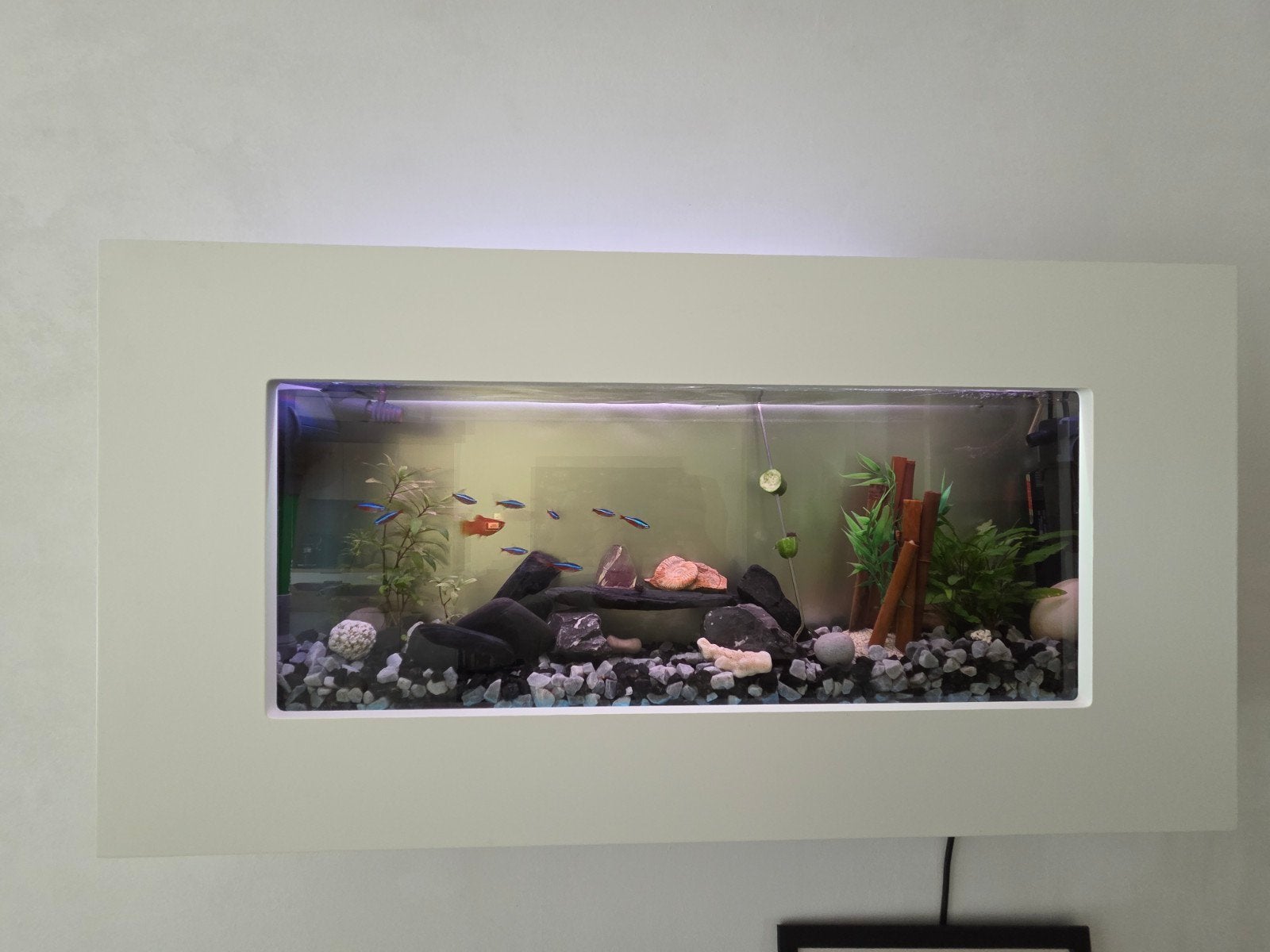 Unieke wand aquarium met wit kader 80 cm, Aquarium vide, Enlèvement, Utilisé, Autres marques