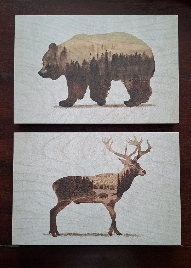 Tableaux Ikea Cerf et Ours, Moins de 50 cm, Comme neuf, Enlèvement, Bois