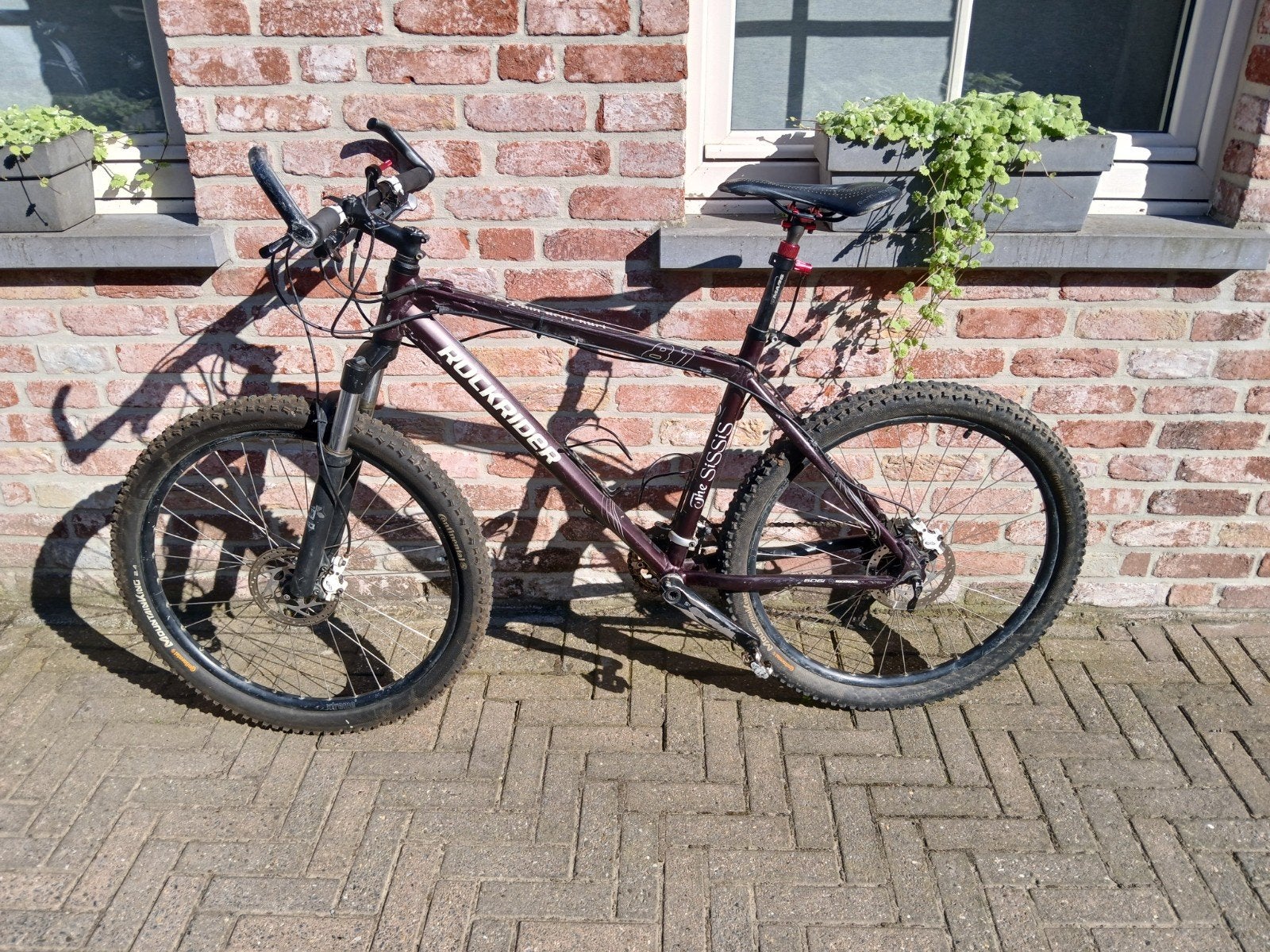 Rockrider mountainbike paars, Enlèvement