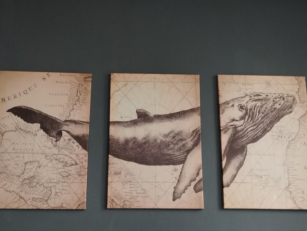 Mooi drieluik van walvis, Ophalen of Verzenden