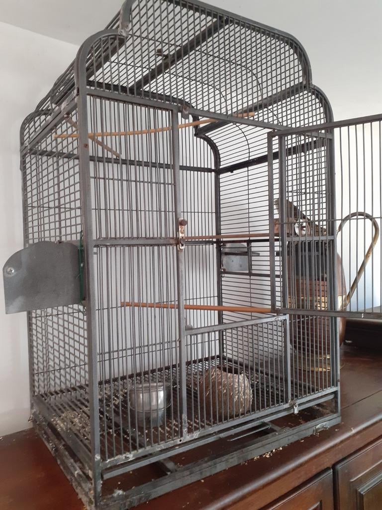 Een kooi te koop, Ophalen, Gebruikt, Metaal, Vogelkooi