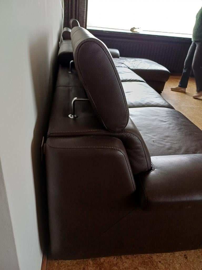 Moderne donkerbruine hoekzetel, Enlèvement