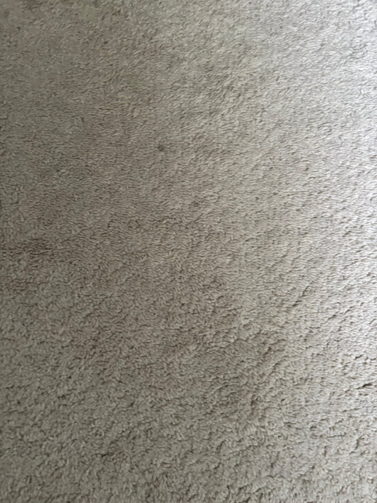 Mooie gebroken wit ( creme) tapijt, Huis en Inrichting, Ophalen, Wit