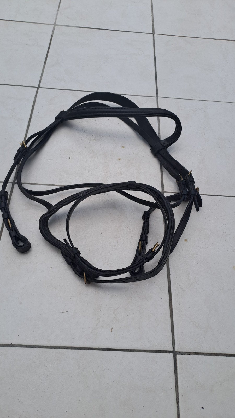 Hoofdstel, Dieren en Toebehoren, Ophalen of Verzenden, Zwart, Hoofdstel, Cob