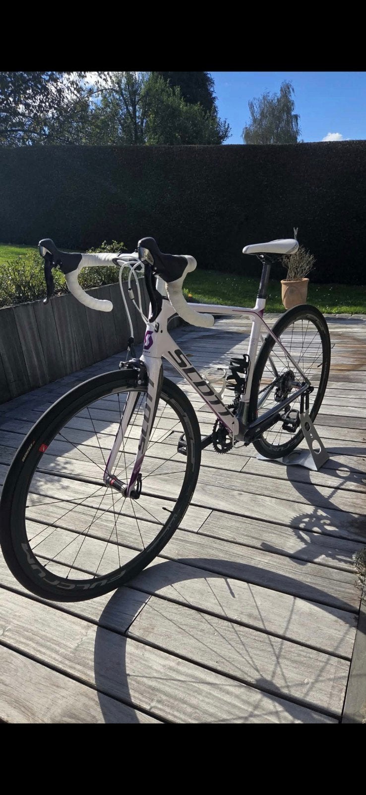 Scott Contessa Solace 25 Carbone Taille S, Vélos & Vélomoteurs, Enlèvement, Carbone