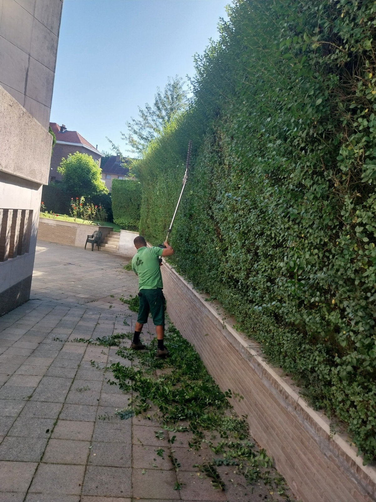 Jardinier, Jardin & Terrasse, Plantes | Arbres