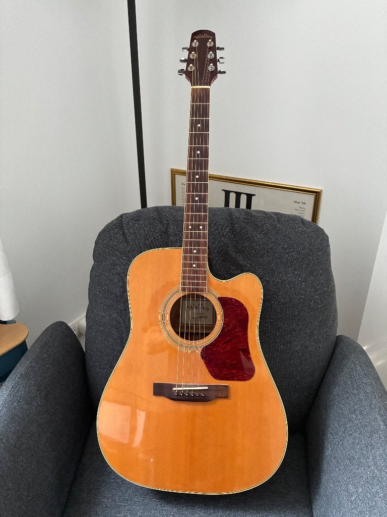 Guitare Walden D450, Musique & Instruments, Enlèvement, Utilisé, Guitare Western ou Guitare Folk