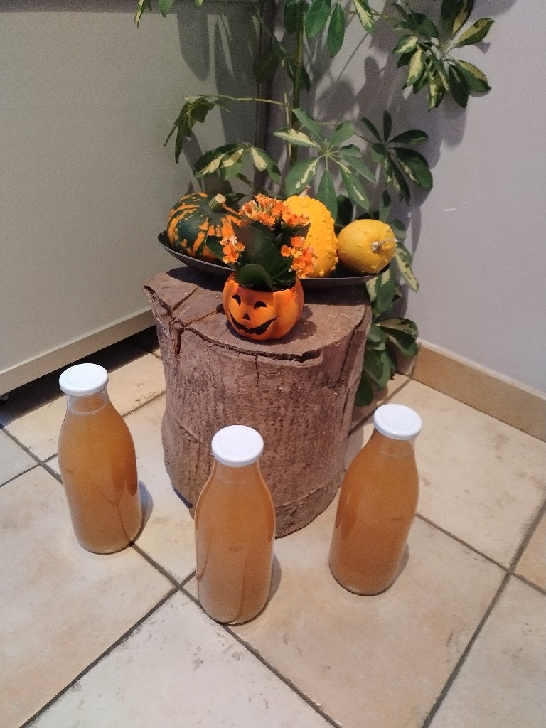 JUS DE POMMES ET POIRES A VENDRE, Enlèvement