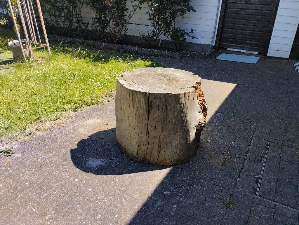 Boomstronk spar, Enlèvement, Autres essences de bois