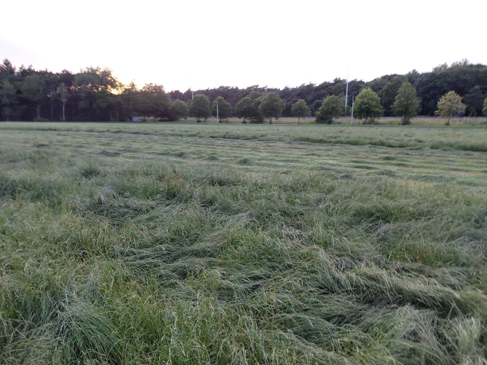 Kleine pakken hooi 1e snede 2026 🐎 🐑 🐮