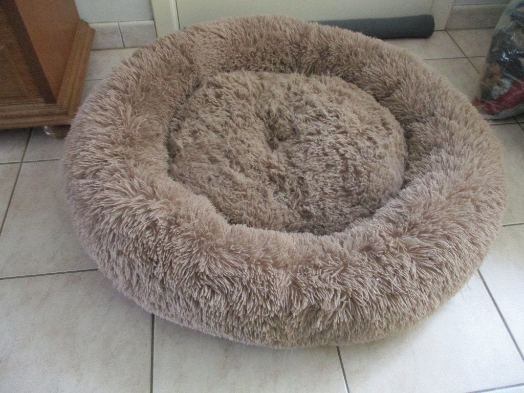 mand voor hond, Animaux & Accessoires, Autres accessoires pour animaux, Enlèvement ou Envoi, Utilisé