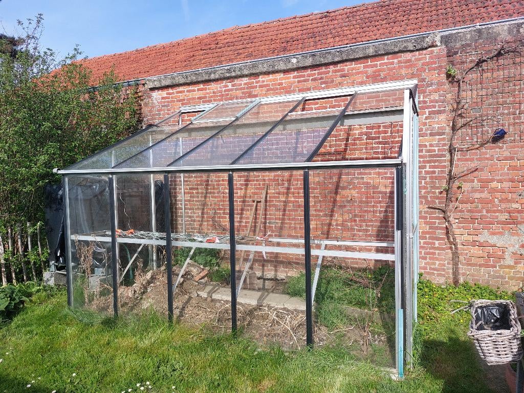 serre - broeikas - tuinkas - kweekkas - greenhouse 6,5m², Tuin en Terras, Kassen, Ophalen, Gebruikt, Kweekkas, Glas
