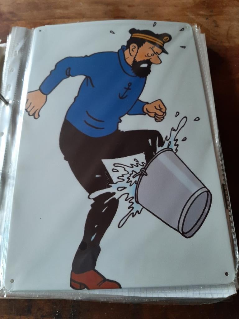 Kuifje plaat, Envoi