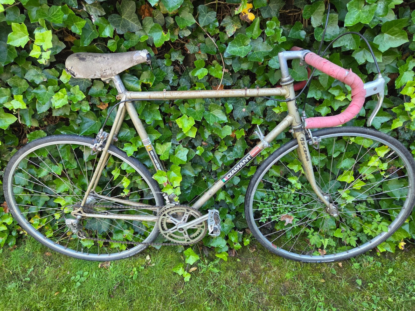 Oude koersfiets, Enlèvement