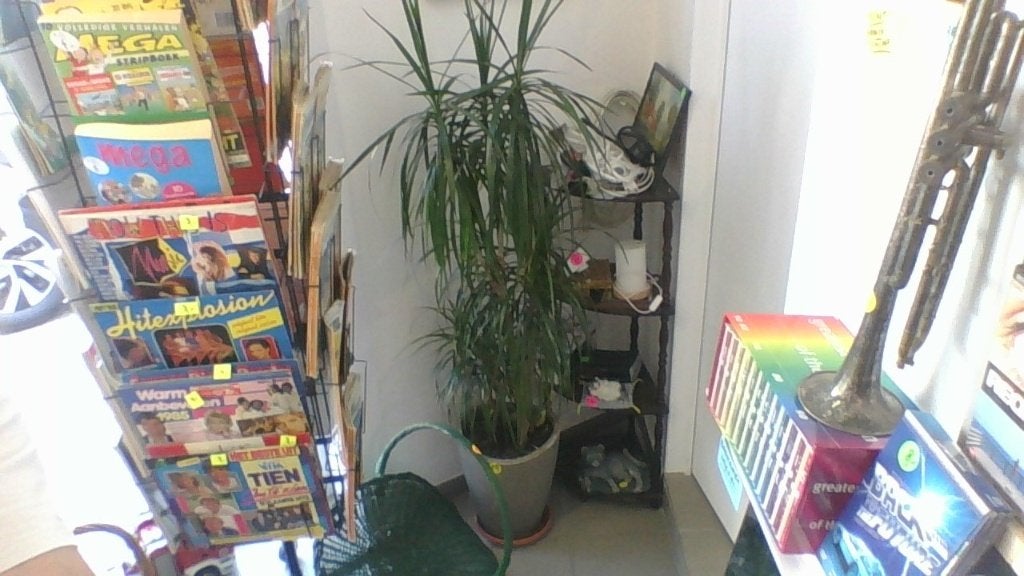 grote plant met pot, Ophalen