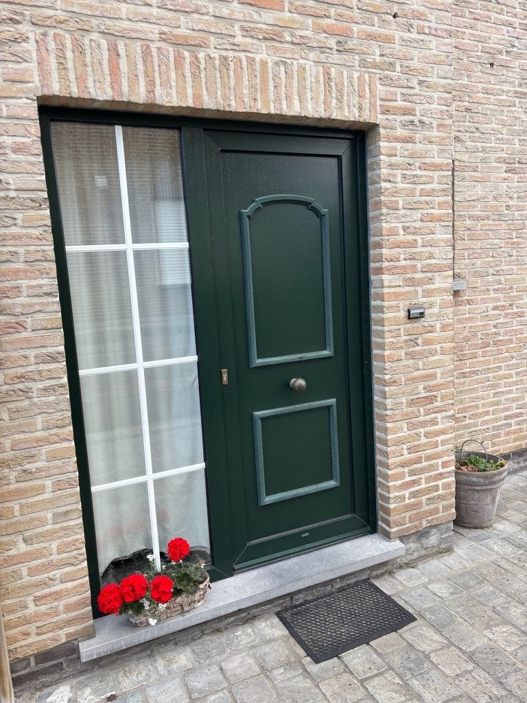 porte d'entrée, Bricolage & Construction, Fenêtres & Moustiquaires, Porte extérieure, Synthétique, Enlèvement, Utilisé