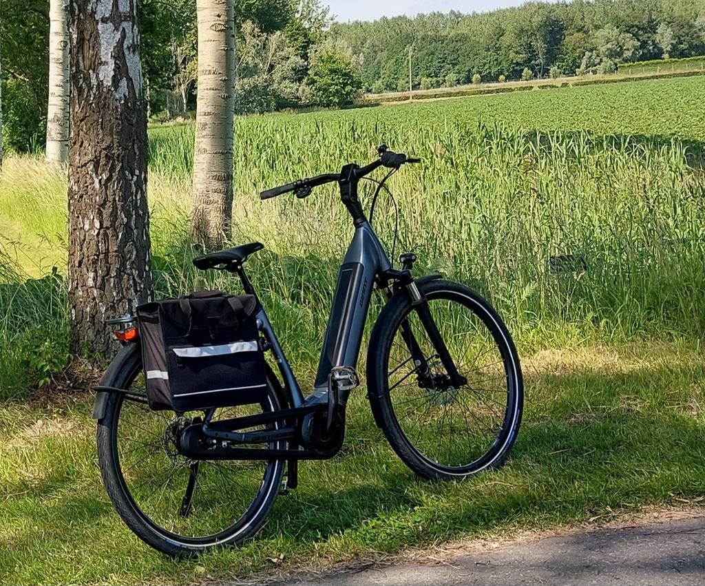 Merk Giant-  Electrische fiets - midden batterij, Fietsen en Brommers, Ophalen, Zo goed als nieuw, 50 km per accu of meer, Giant