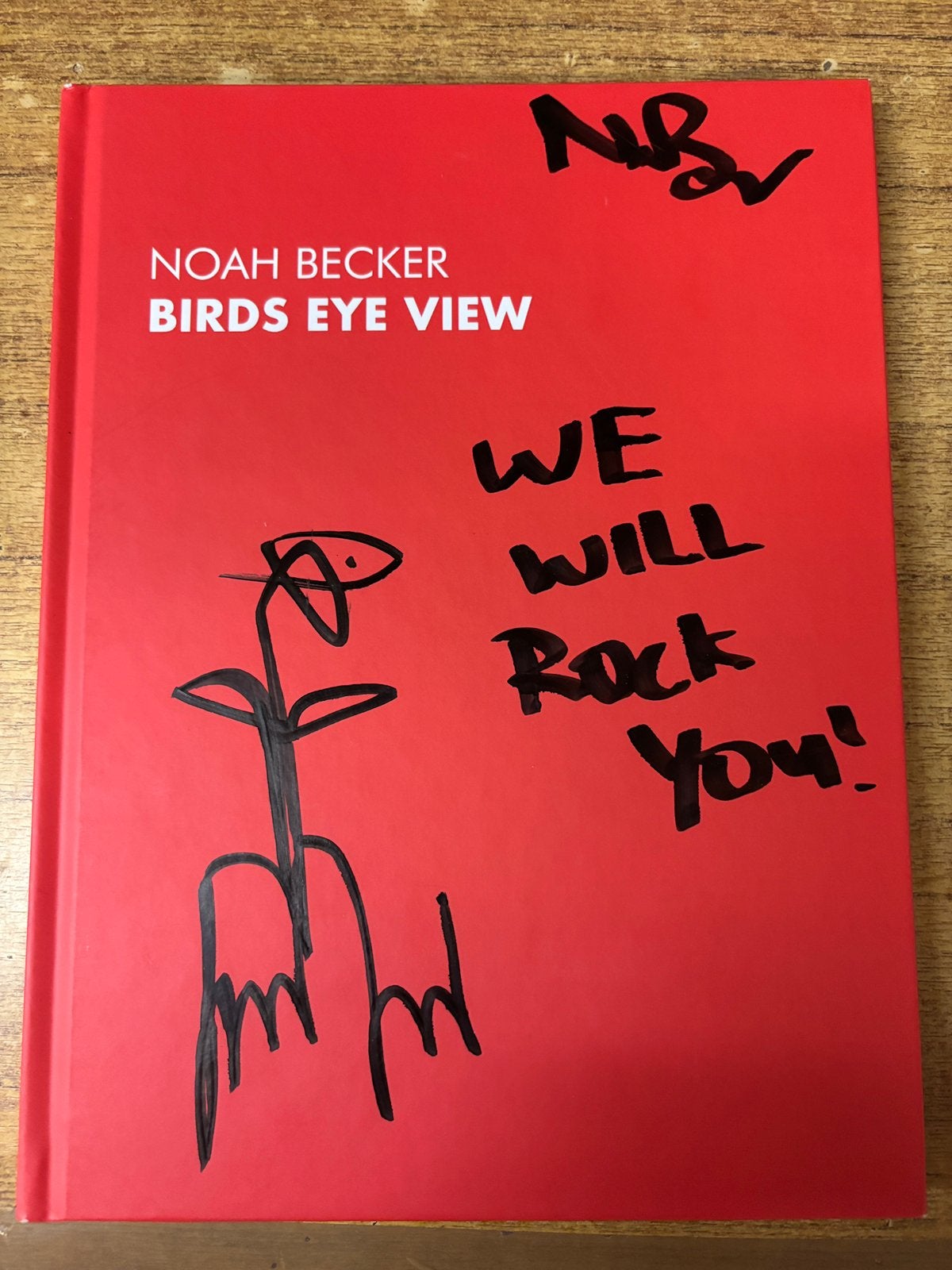 Noah Becker Birds eye view Boek, Boeken, Ophalen of Verzenden, Nieuw, Schilder- en Tekenkunst