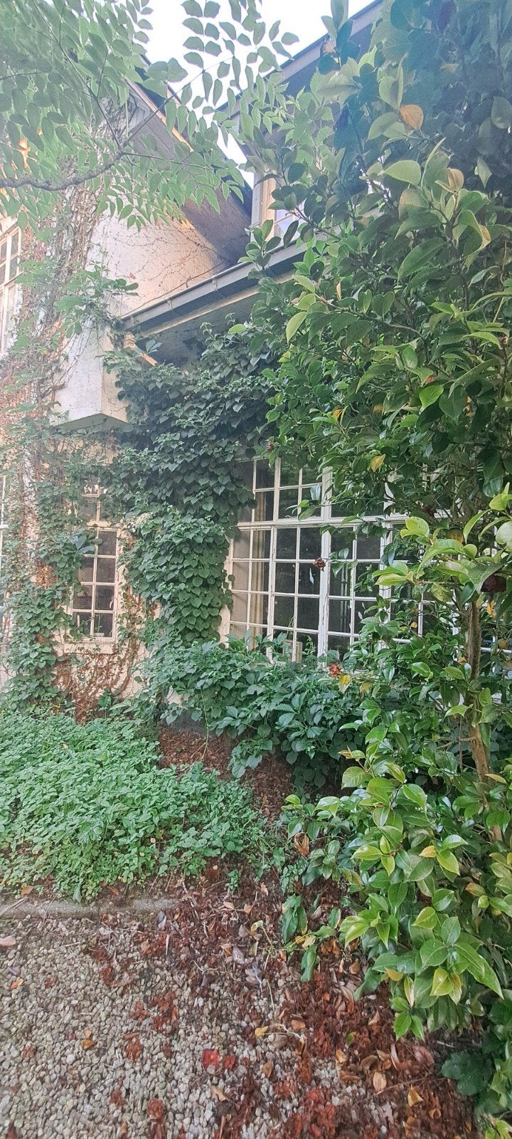 Stalen ramen met enkel glas, Doe-het-zelf en Bouw, Ophalen
