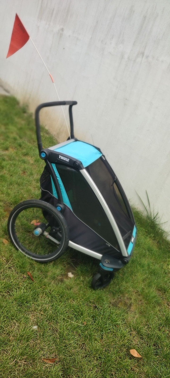 Thule remorque vélo pour 2 enfants, 40 à 60 kg, Utilisé, Suspension, Remorque pour enfant