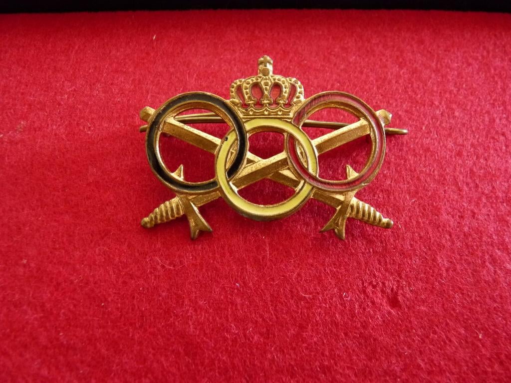 MILITAIRE INSIGNES, Verzamelen, Ophalen of Verzenden, Landmacht, Lintje, Medaille of Wings