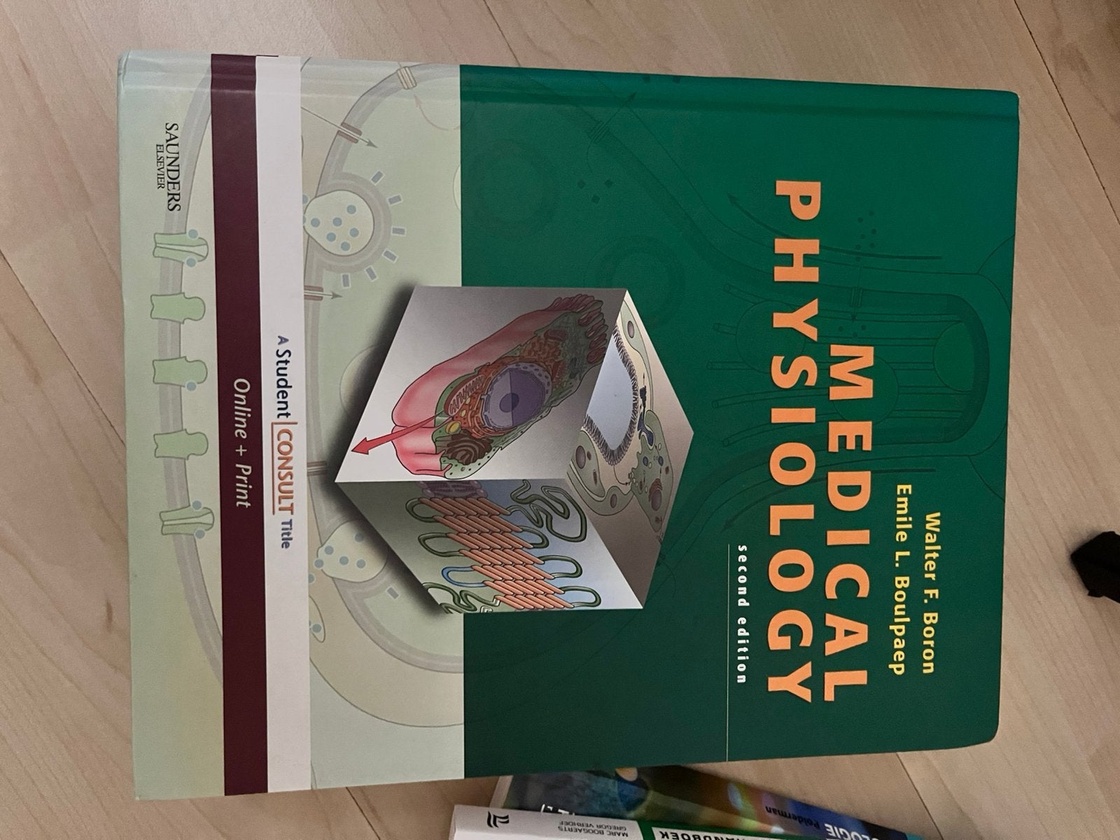Medical physiology, Ophalen of Verzenden, Zo goed als nieuw