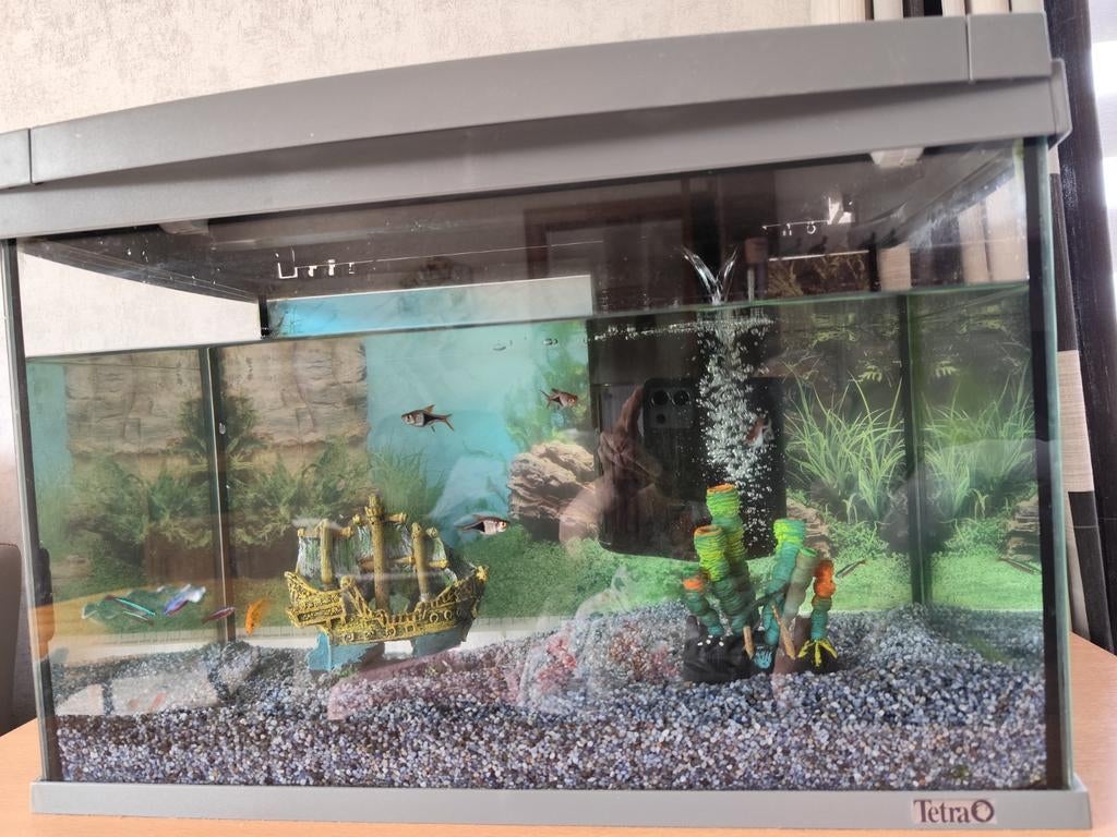 Aquarium Tetra  60 litres avec tout le contenu., Dieren en Toebehoren, Tetra