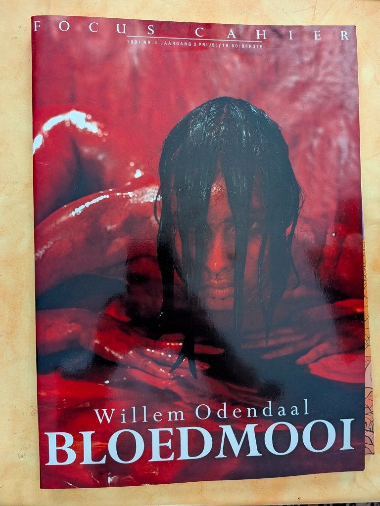 Bloedmooi Fotoboek, Boeken, Kunst en Cultuur | Fotografie en Design, Ophalen of Verzenden, Zo goed als nieuw, Willem Odendaal