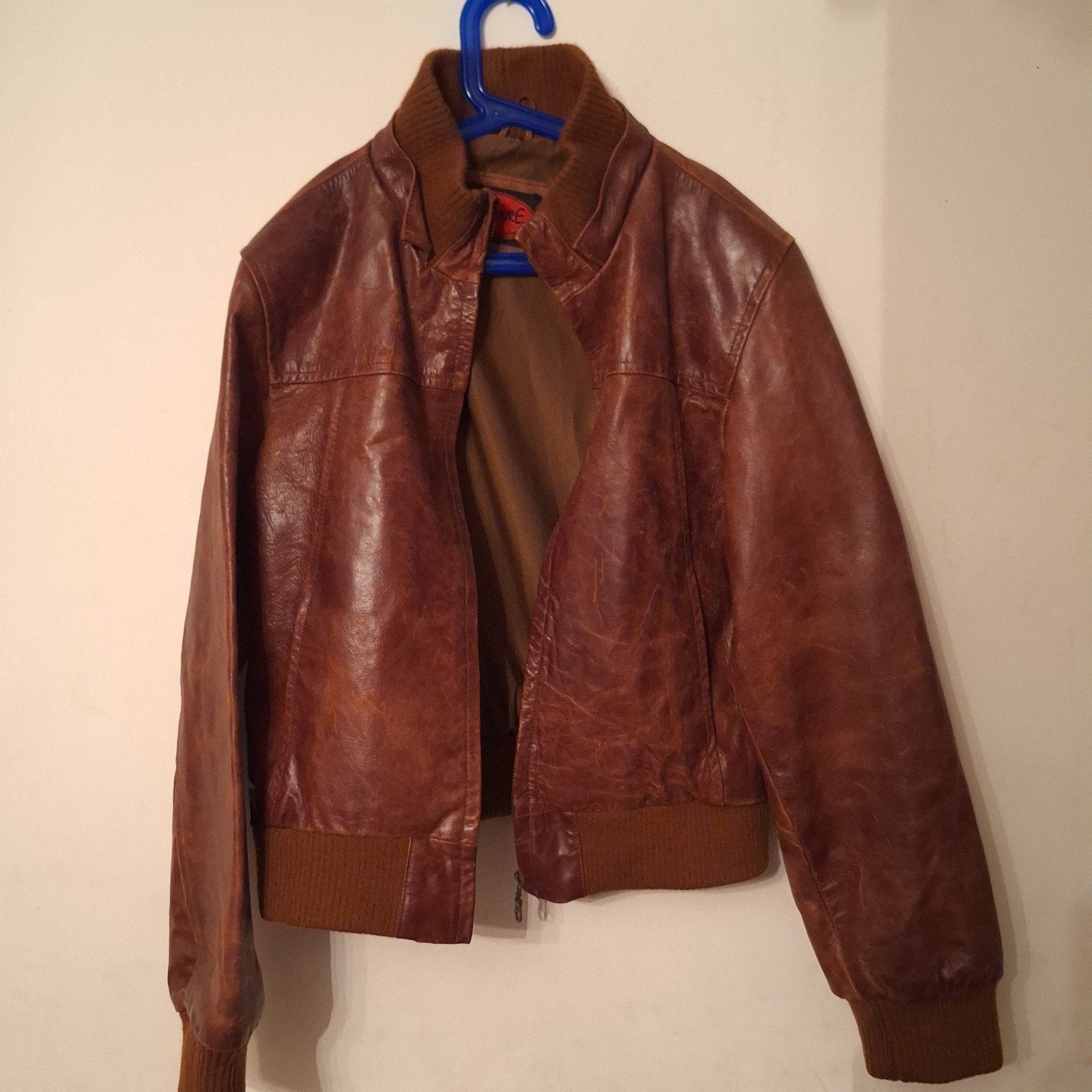Blouson en cuir véritable de style aviateur, Dinosaure, Enlèvement ou Envoi, Brun, Autres tailles