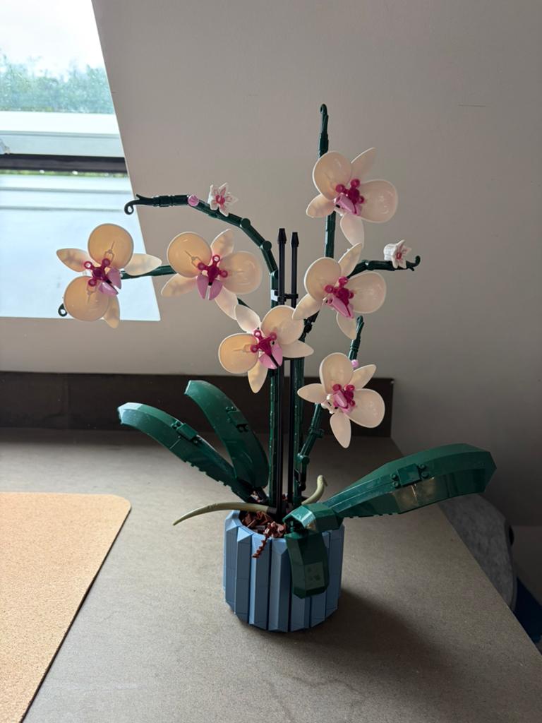 Orchidee (geen lego), Ophalen, Zo goed als nieuw