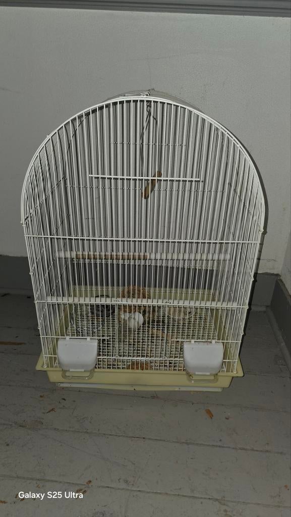 Bruxelles, Animaux & Accessoires, Enlèvement, Utilisé, Autres matériaux, Cage à oiseaux