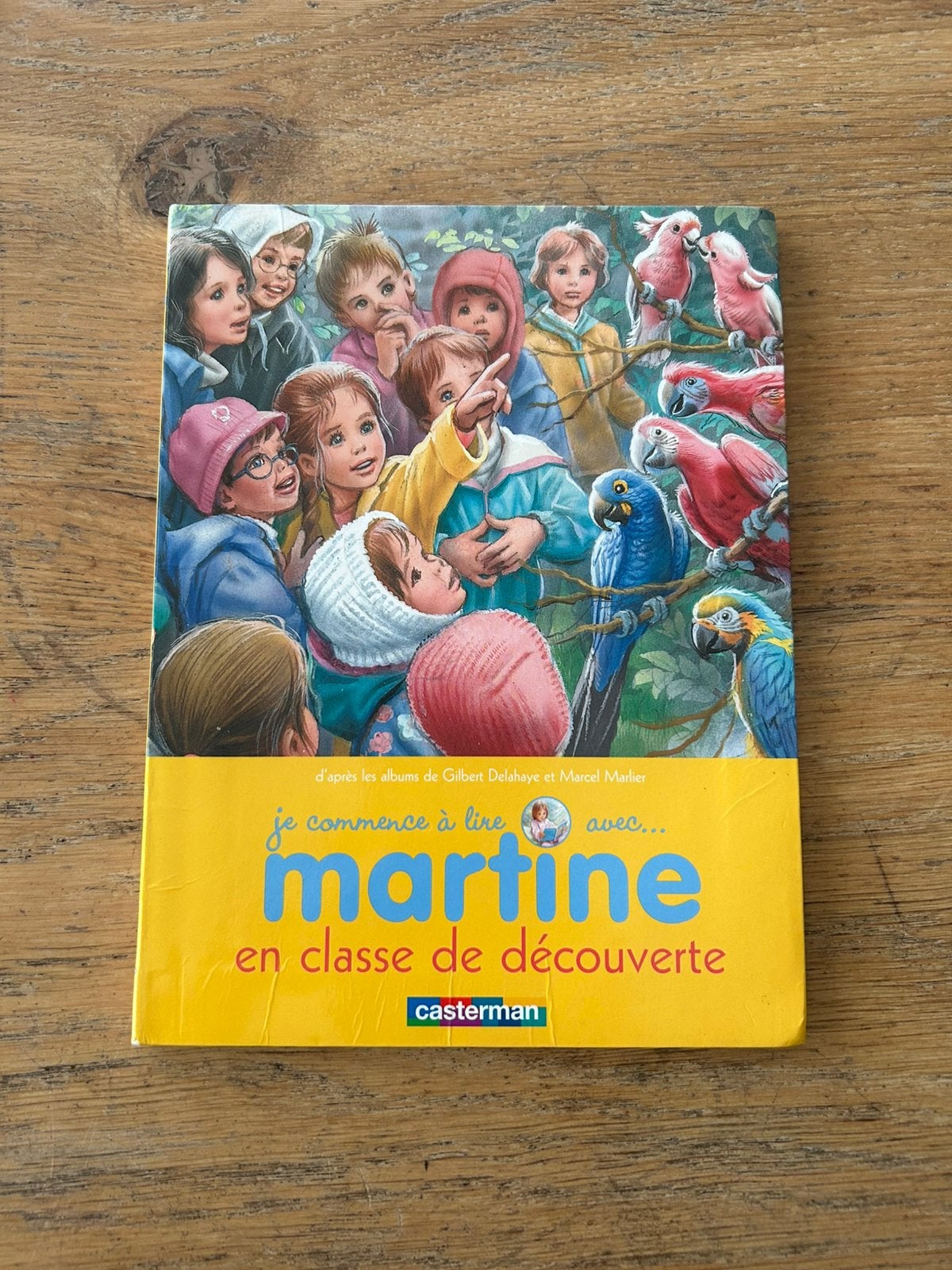 je commence à lire avec Martine en classe de découverte, Livres, Gilbert Delahaye, Enlèvement ou Envoi, Comme neuf, Non-fiction