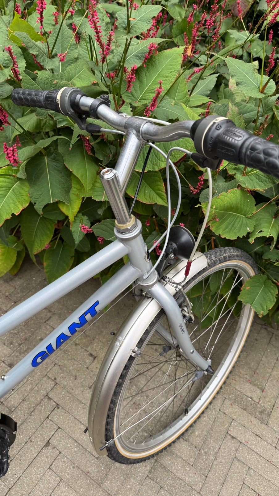 GIANT Mixed Bike - zeer goede staat, Ophalen, Gebruikt, Velgrem, Giant