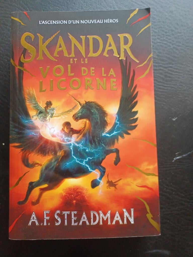 Skandar et le vol de la licorne Steadman, Enlèvement ou Envoi