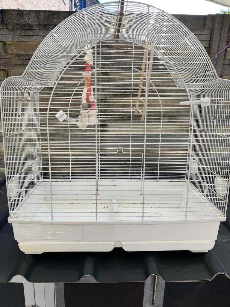 LUXE GROTE WITTE VOGELKOOI MET TOEBEHOREN NU 45 EURO, Enlèvement, Utilisé, Autres matériaux, Cage à oiseaux