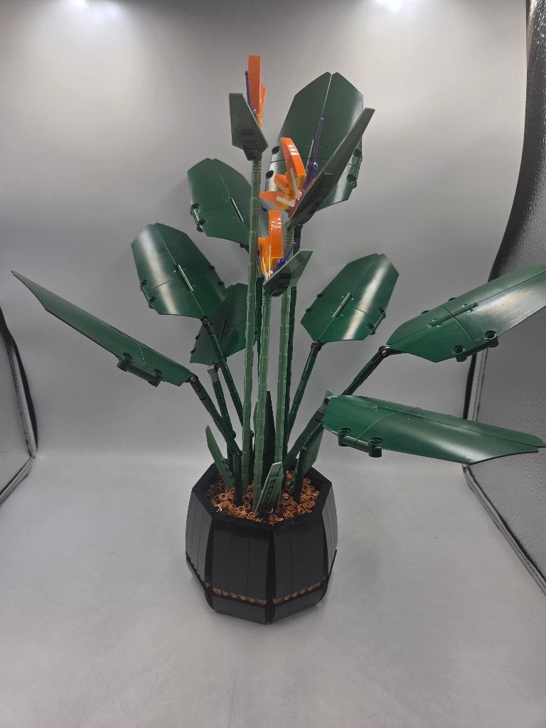 Lego Botanical 10289 Bird of Paradise, Lego, Ophalen of Verzenden, Zo goed als nieuw, Compleet