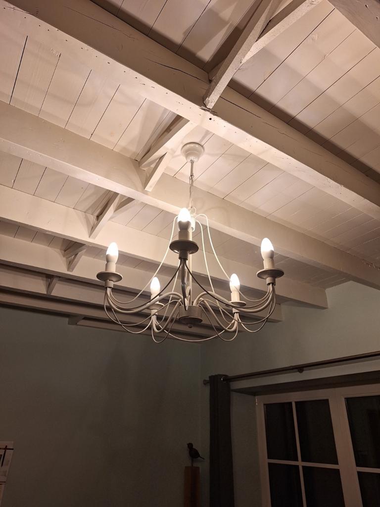 Luster inclusief lampen, Huis en Inrichting, Lampen | Kroonluchters, Ophalen