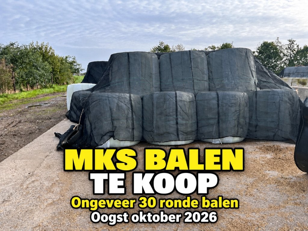 MKS mais balen te koop