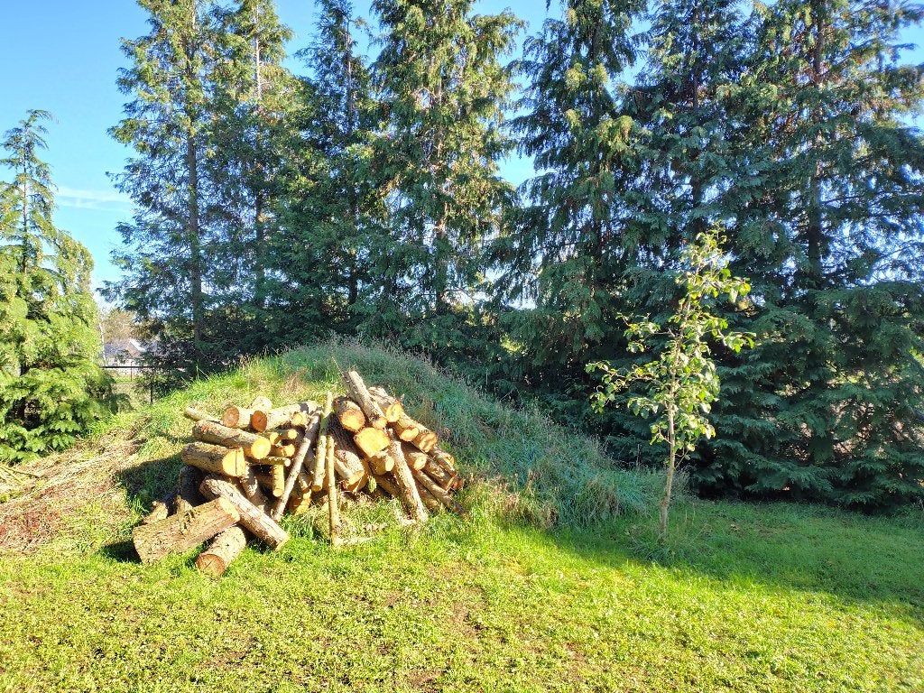 Brandhout gratis, Ophalen