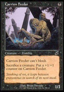 Carrion Feeder - SCG - MTG - PL, Hobby en Vrije tijd, Verzamelkaartspellen | Magic the Gathering, Ophalen of Verzenden