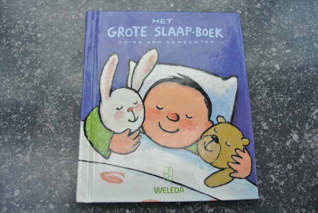 het grote slaapboek, Boeken, Ophalen of Verzenden