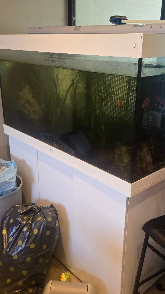 Aquarium 350 litres, Enlèvement, Juwel