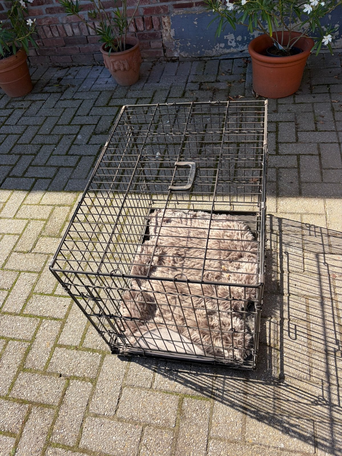 Bench - grote hond, Dieren en Toebehoren, Hondenhokken, Ophalen, Zo goed als nieuw