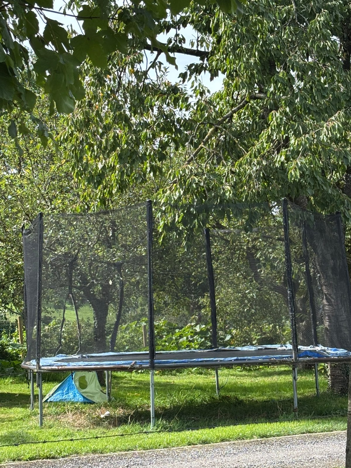 Grand trampoline, Enlèvement, Comme neuf