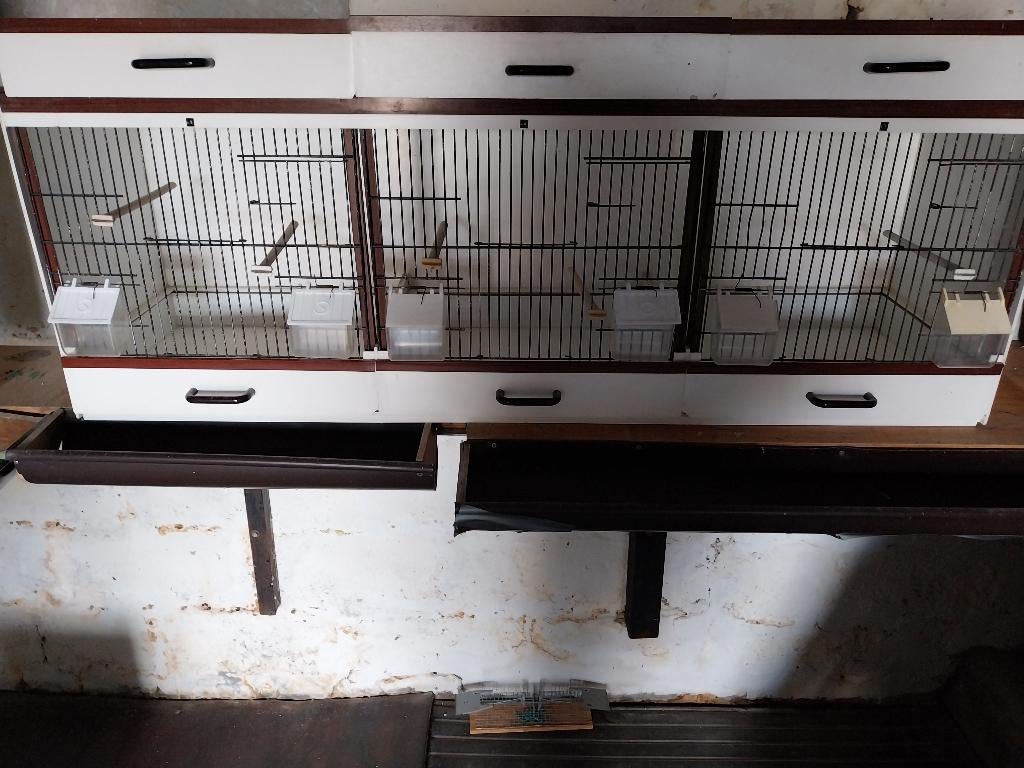 kweekkooi, Dieren en Toebehoren, Ophalen, Gebruikt, Kunststof, Broedkooi of Kweekkooi