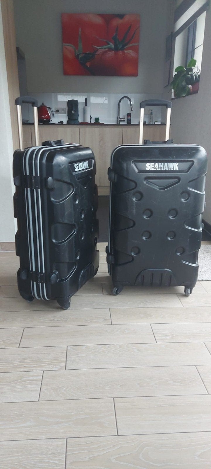 reiskoffer mendoza seahawk 2 stuks, Ophalen, Gebruikt, Hard kunststof, 45 tot 55 cm